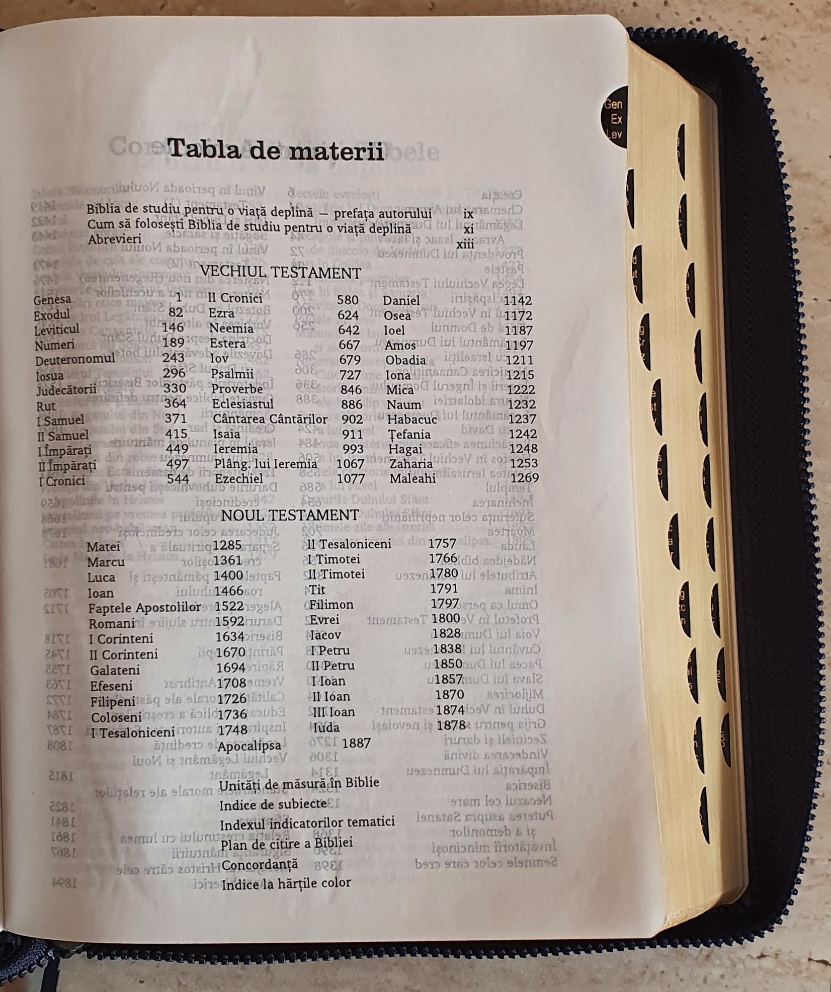 FireBible - Pink-Brown Duo Leather Bonded BIBLIA DE STUDIU PENTRU O VIATA DEPLINA, COPERTA PIELE ROZ - Image 3