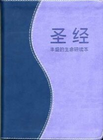 FireBible - CHINESE SIMPLIFIED BLUE/PURPLE DUO COVER