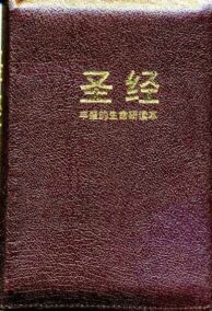 FireBible - CHINESE SIMPLIFIED BURGUNDY WITH ZIPPER