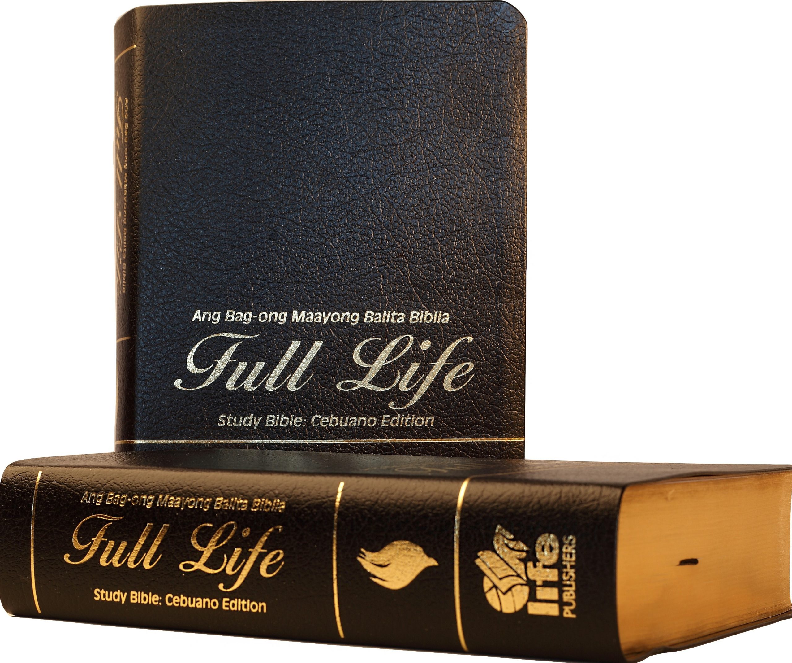 FireBible - CEBUANO BLACK BONDED LEATHER - Image 2