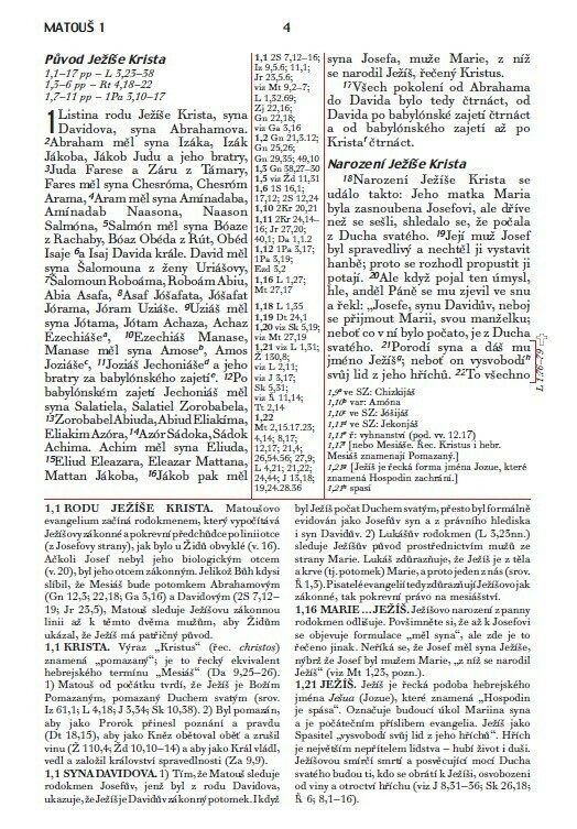 FireBible - CZECH BURGUNDY HARDCOVER - Image 8