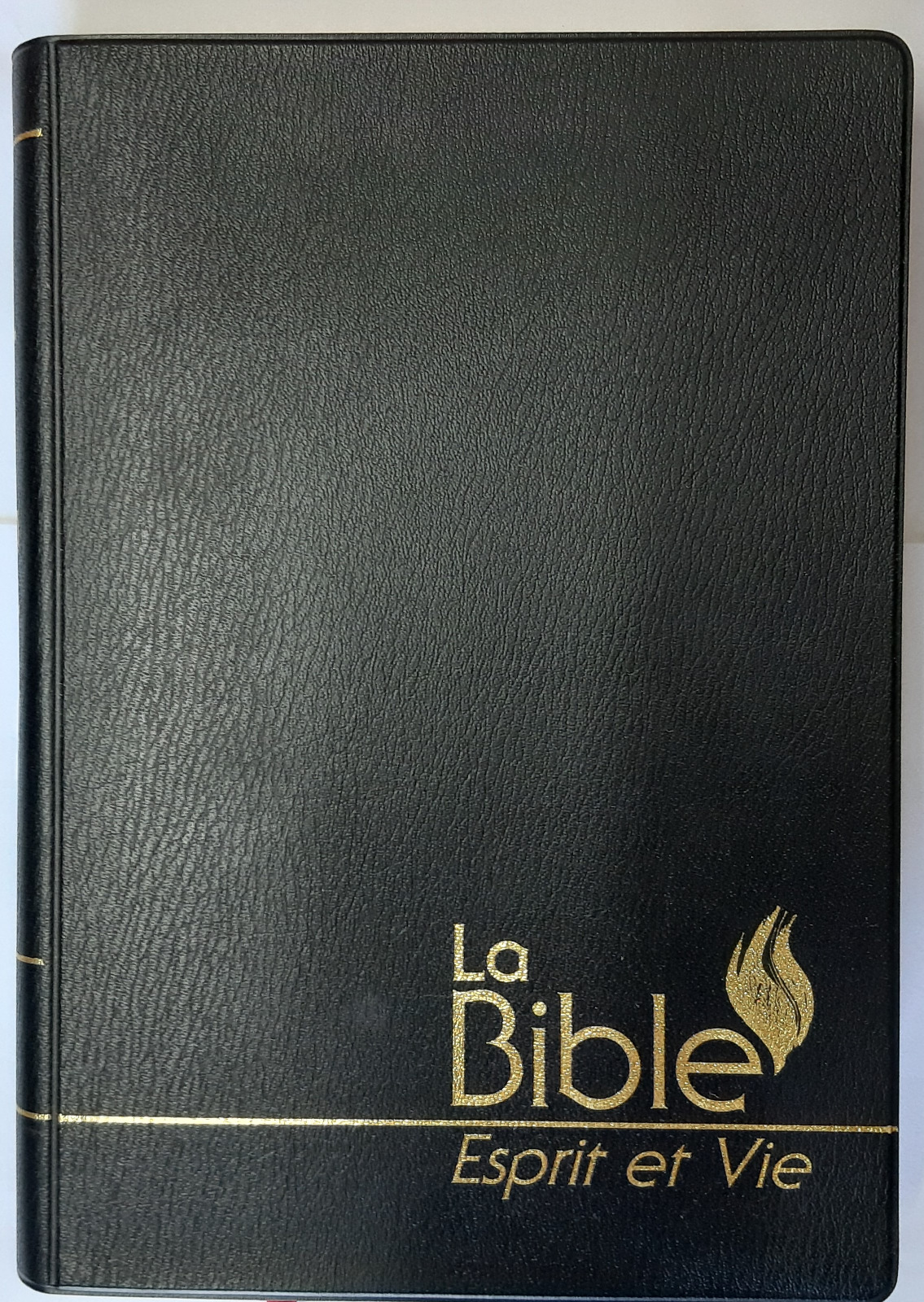 FireBible - French (Francais) Bible